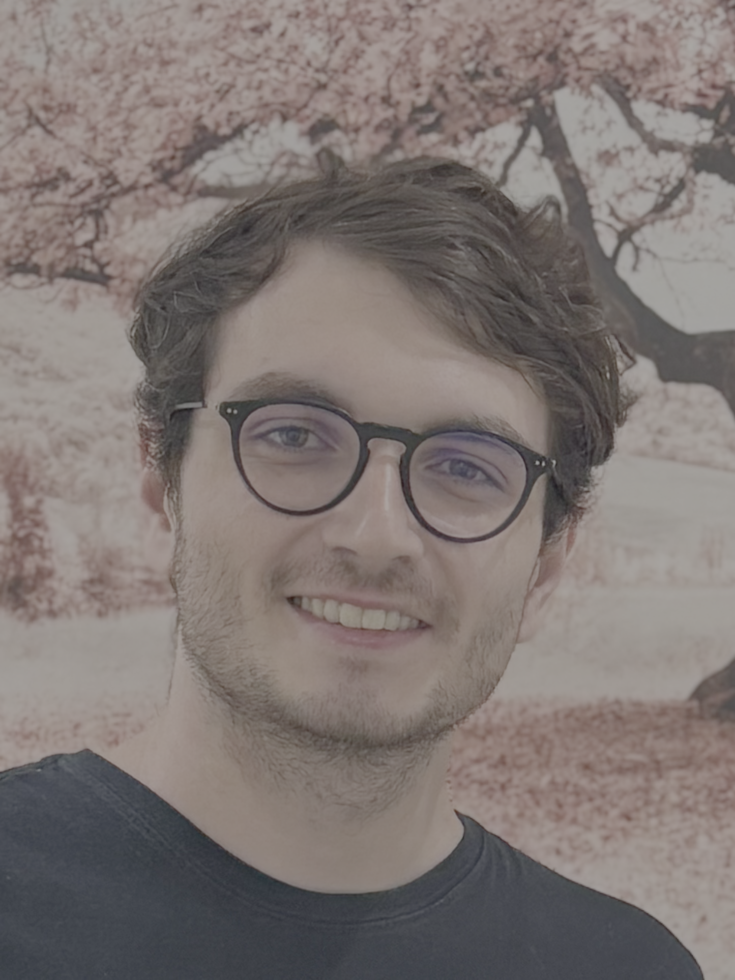 Gabriel Batistella